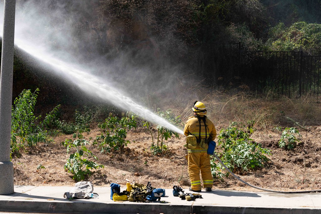 Firefighters Rapidly Contain Brush Fire in Pacific Palisades